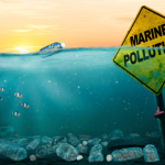 Elias Assum Sabbag Junior analisa como a tecnologia pode ser uma aliada na redução do impacto ambiental do plástico.