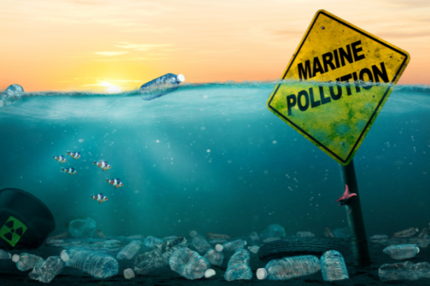 Elias Assum Sabbag Junior analisa como a tecnologia pode ser uma aliada na redução do impacto ambiental do plástico.