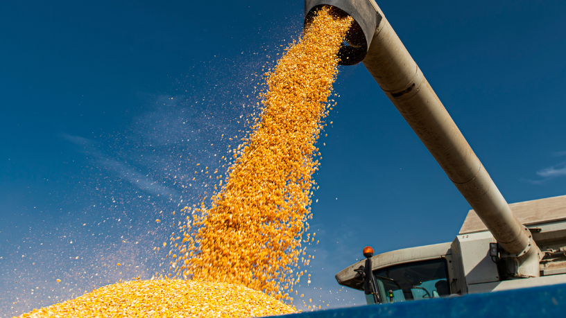 Gestão e futuro — Fabio Jose Gentil Pereira Rosa evidencia como o planejamento estratégico da SAGRIMA garante mais oportunidades e renda no campo.