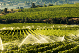 João Eustáquio De Almeida Junior destaca a importância da agricultura e seu impacto direto na economia.