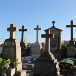 A memorialização de pets amplia formas de preservar a memória e fortalecer o vínculo afetivo, afirma Tiago Schietti.