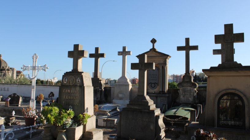 A memorialização de pets amplia formas de preservar a memória e fortalecer o vínculo afetivo, afirma Tiago Schietti.