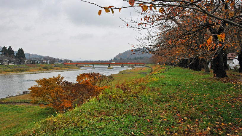 Alberto Toshio Murakami