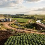 Parajara Moraes Alves Junior