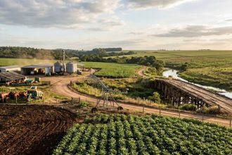 Parajara Moraes Alves Junior