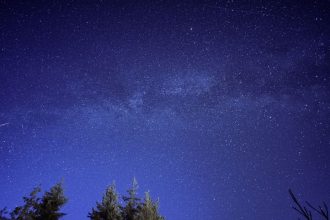 Estrela cadente riscando o céu estrelado acima da silhueta de uma floresta.